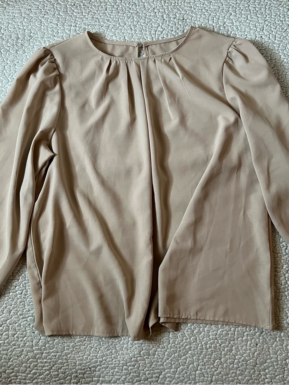 SHEIN Neutral Beige Long-Sleeve Pleated Blouse